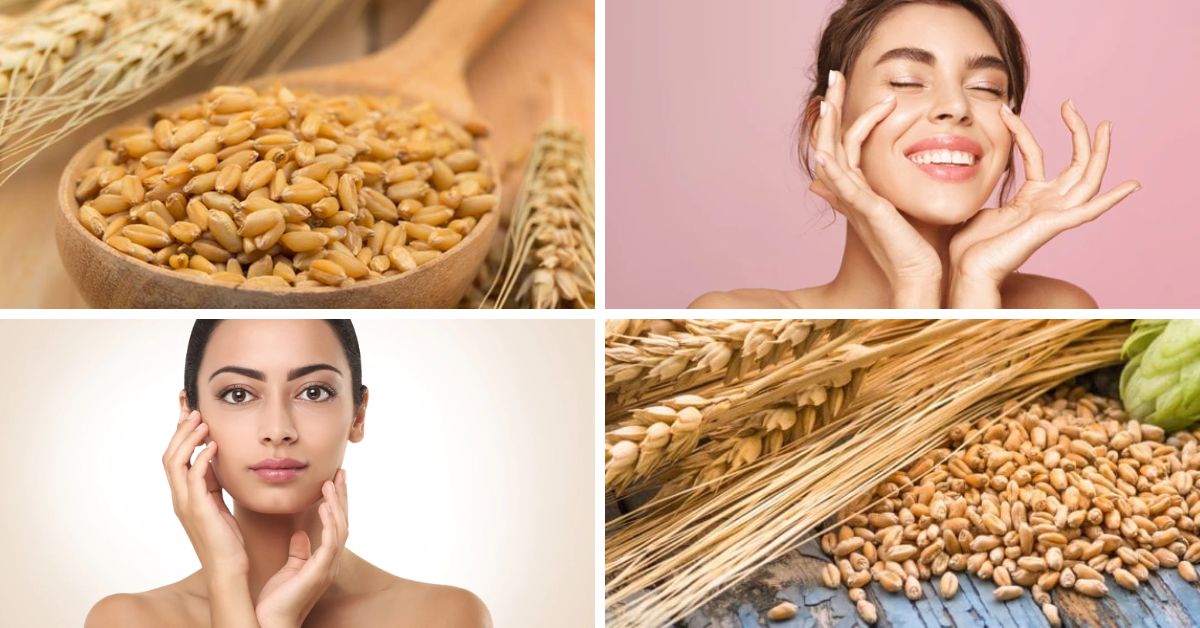 Barley Benefits for Skin