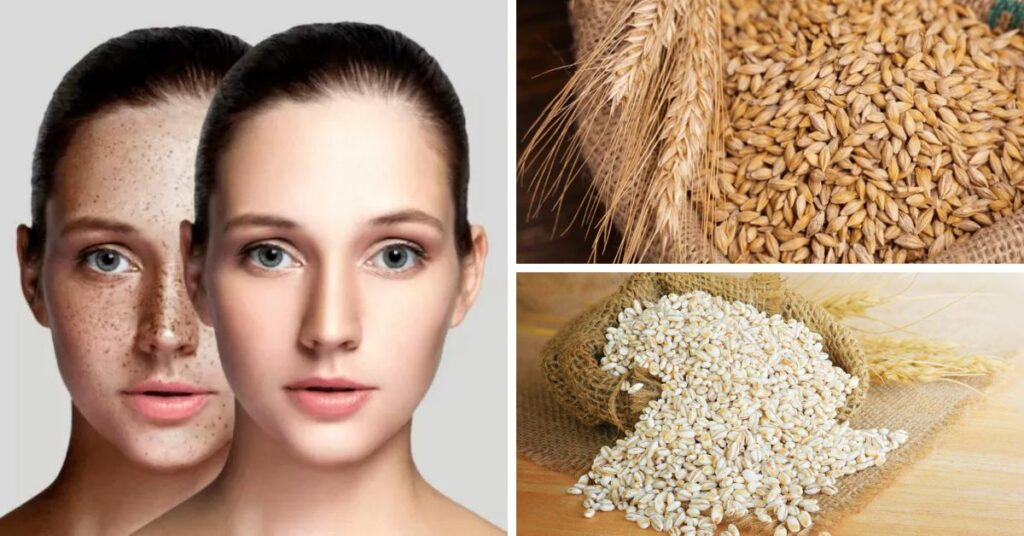 Barley- Fights Hyperpigmentation and Age Spots