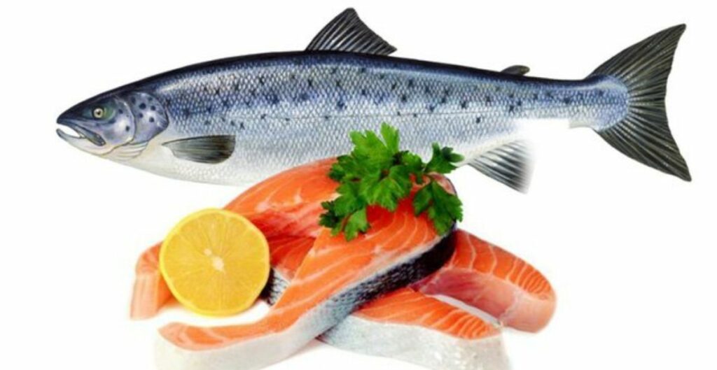 Benefits of Salmon Fish in Pregnancy