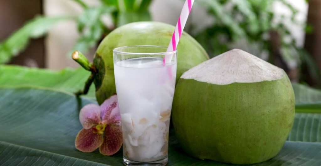 Coconut Water is a Good Source of Nutrients 