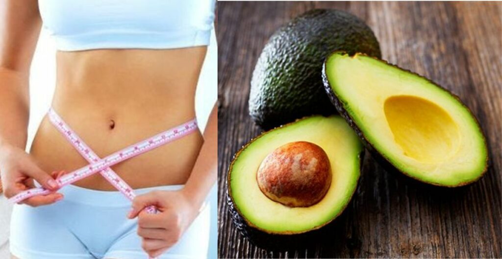 Fruits for Weight Loss- Avocado 