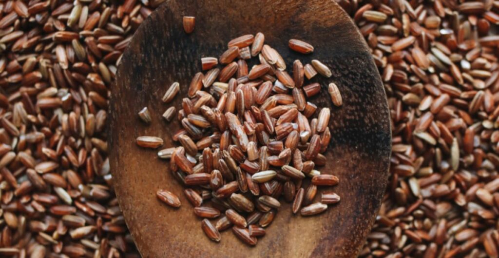 Health Benefits of Brown Rice- Useful in Protecting Nerve Cells