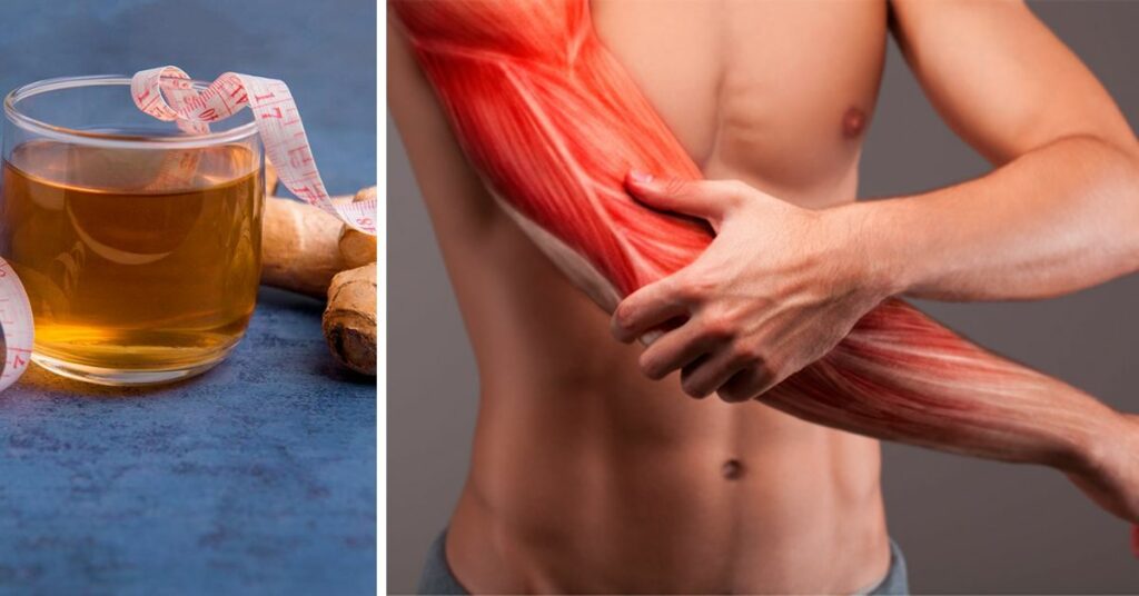 Health Benefits of Ginger tea- Reduces muscle pain