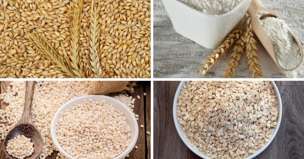 Types Of Barley